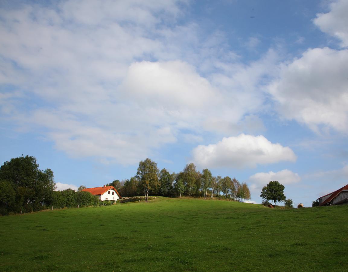 Ferienhof Stanzl Rappottenstein Eksteriør billede
